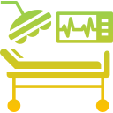 Mediglobe Medical Systems