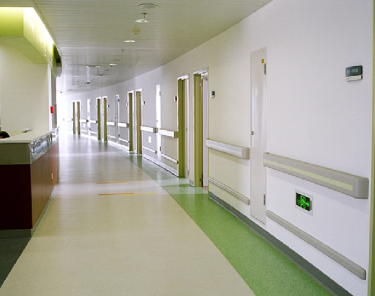 Handrail / Wall guard