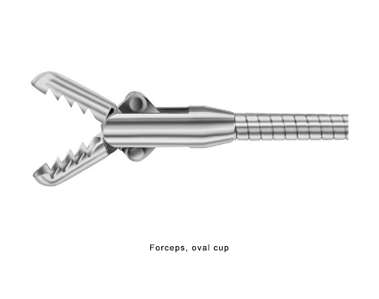 Forceps, oval cup for Hysteroscopy